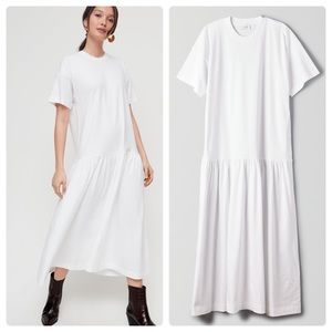 Aritzia dress